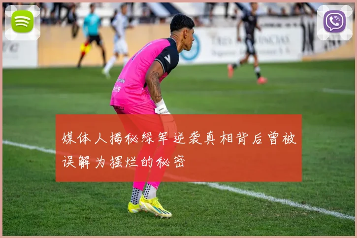 媒体人揭秘绿军逆袭真相背后曾被误解为摆烂的秘密
