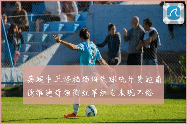 英超中卫搭档场均失球统计费迪南德维迪奇领衔红军组合表现不俗